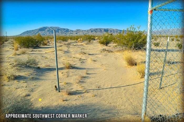Mojave Road
